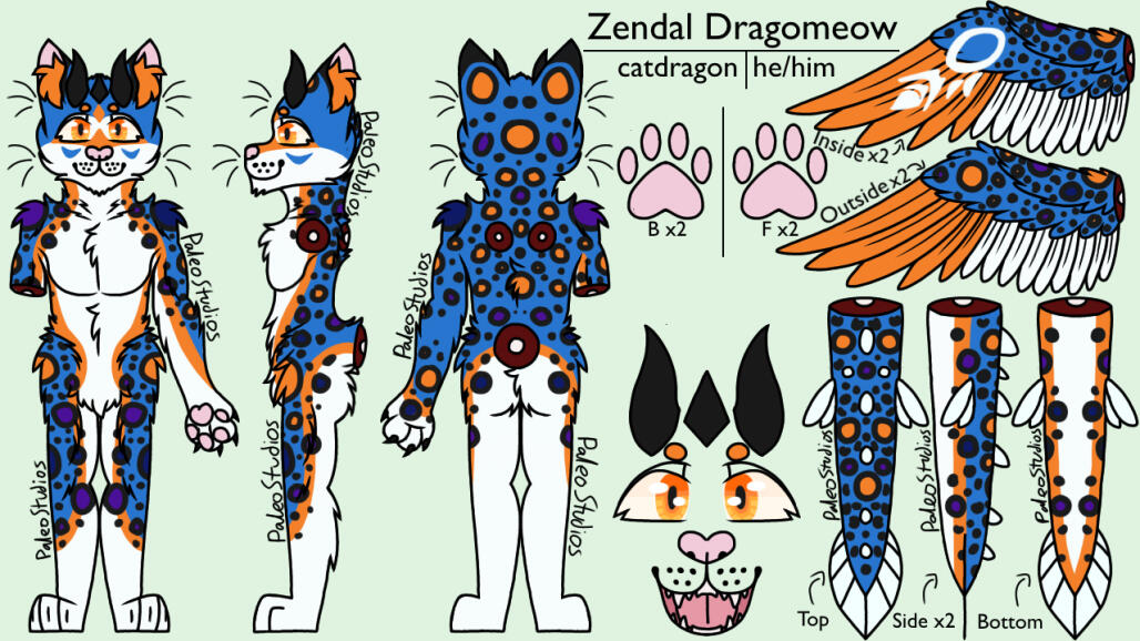 Reference Sheet Commission - Zendal Dragomeow, Discord