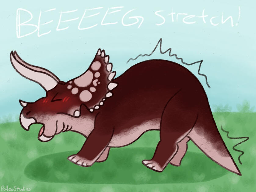 BEEEEG stretch! - Triceratops Horridus