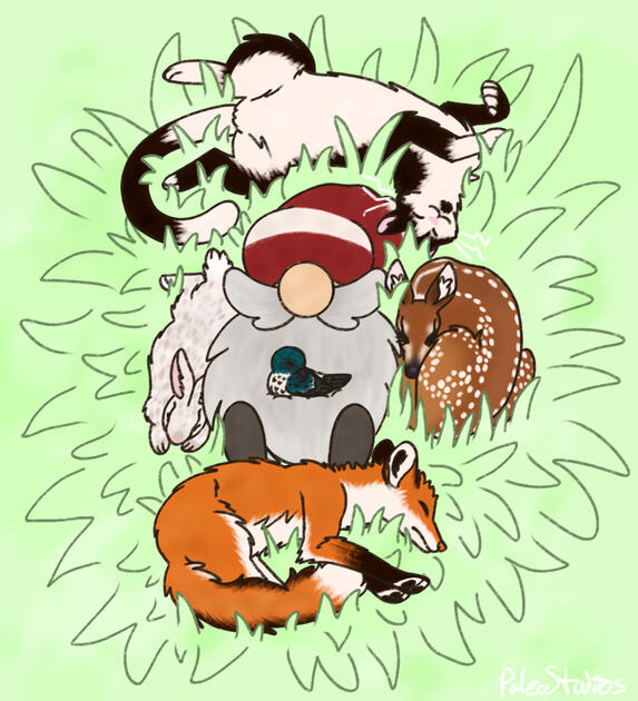 Spring Gnome Commission - Anonymous