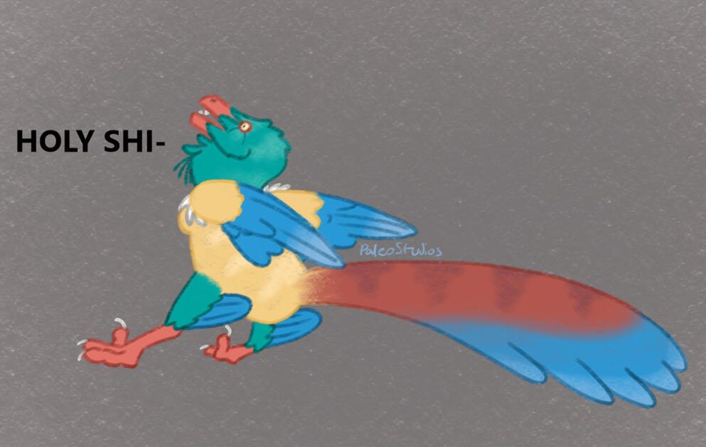 HOLY SHI- Archeops (Pokémon)